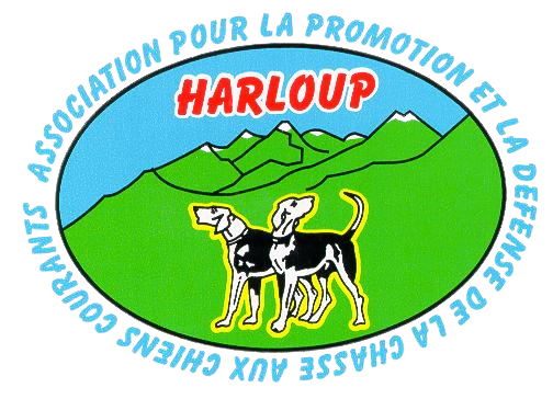 logo association harloup